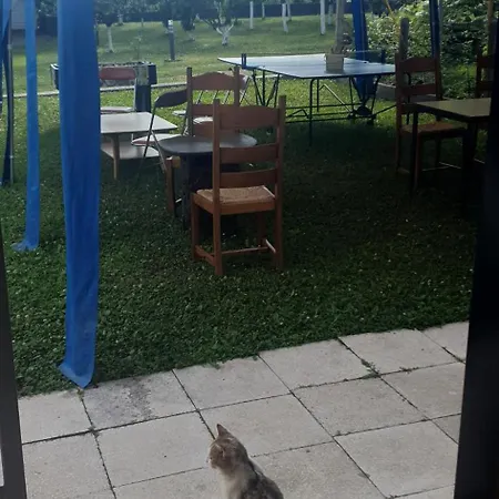Campsite Kamp Kucica Trokrevetna *